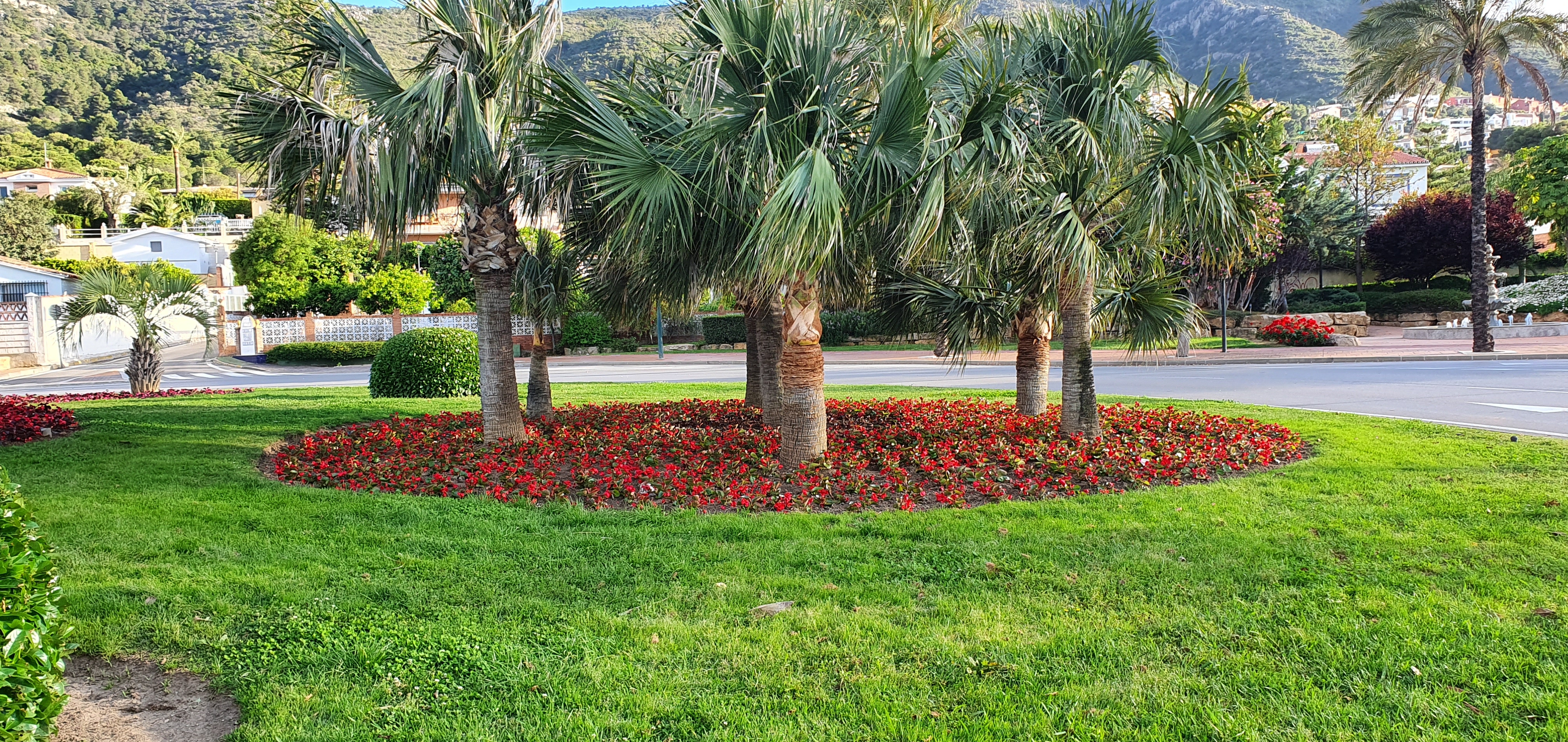 Diseño de jardines